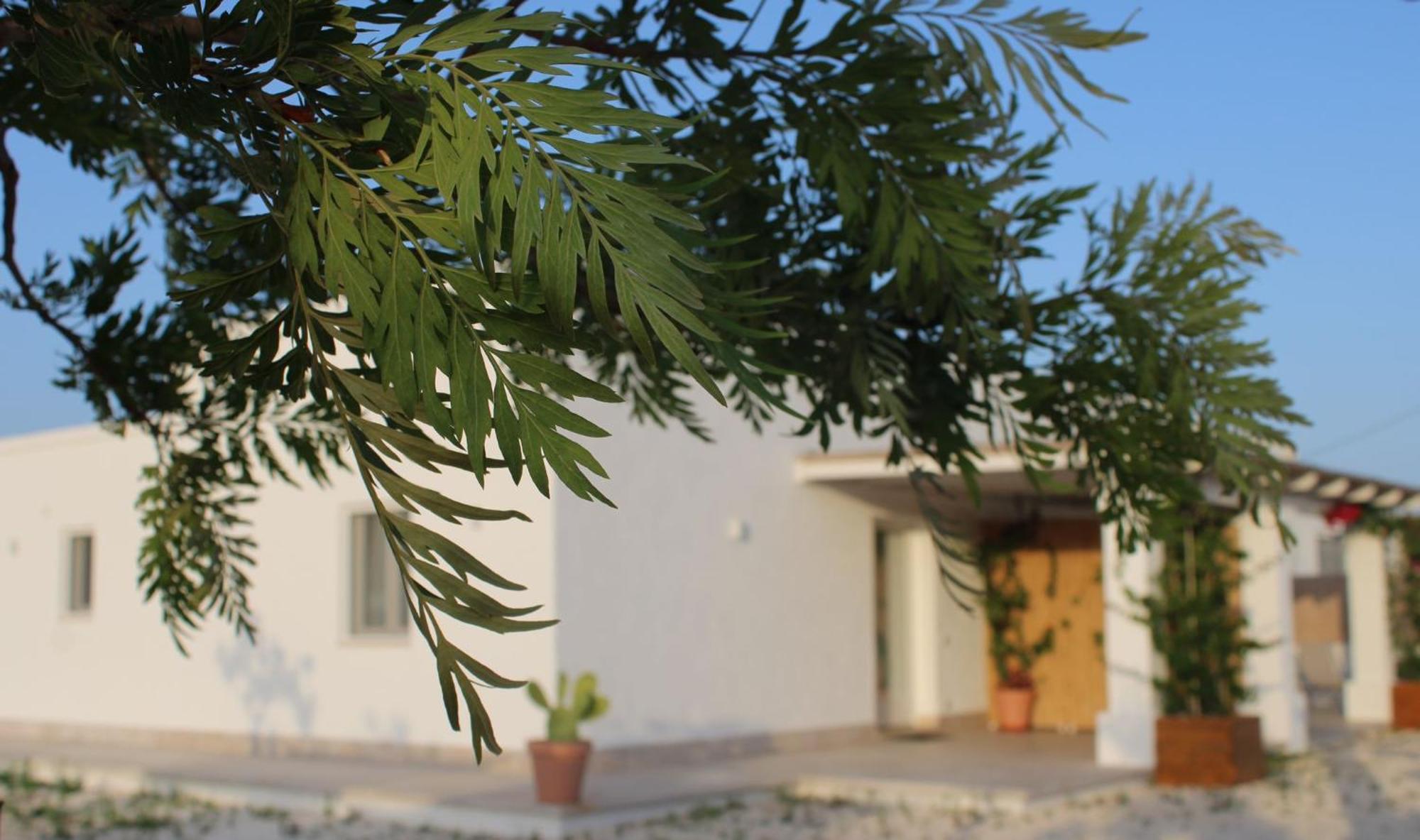 Villa Susca - Villa Sul Mare Monopoli Luaran gambar